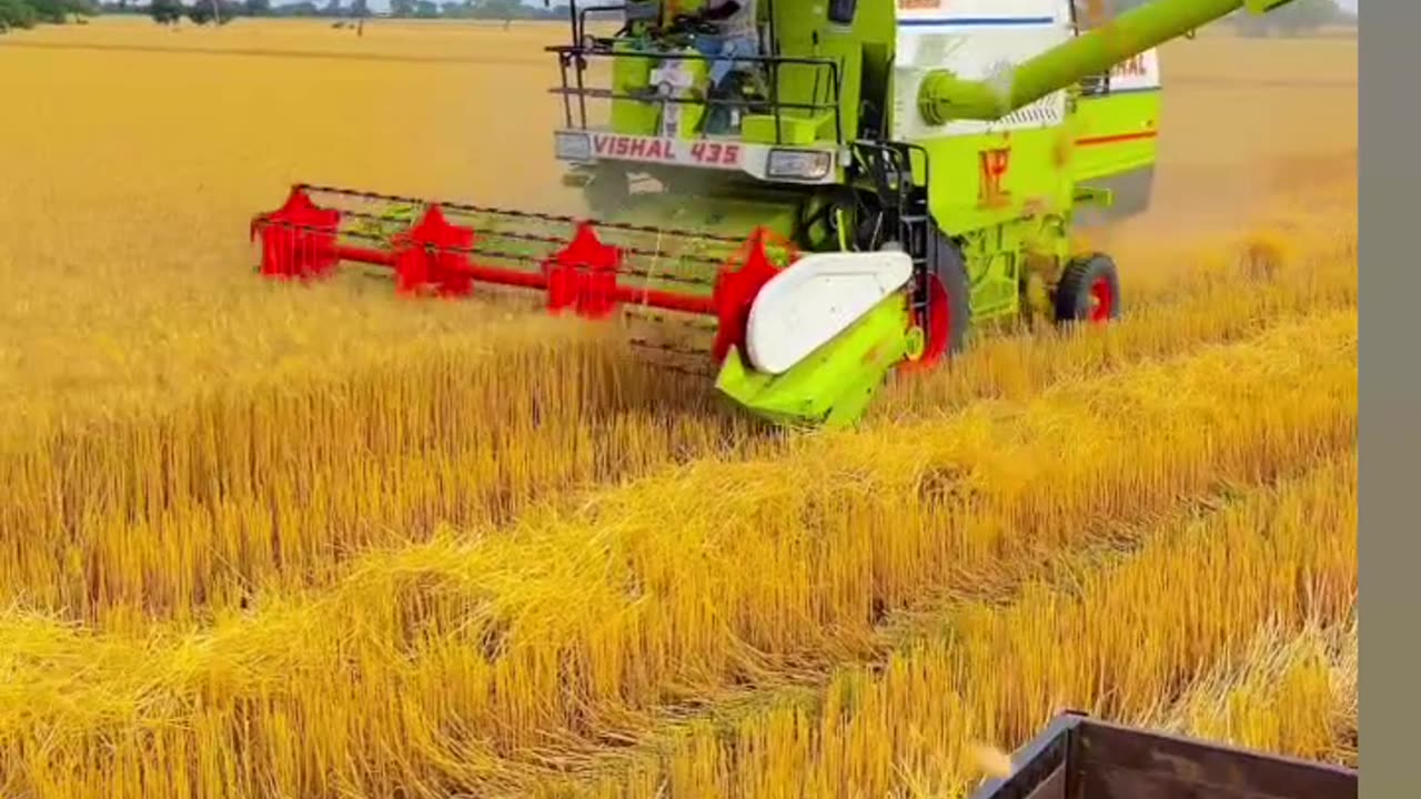 Farming in India #india #Toronto #canada