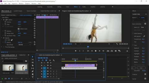 Adobe Premiere Pro – How to create Ghost Effect