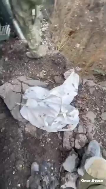 Осмотр «уставшего» немецкого бронеавтомобиля Dingo 2 ВСУ в зоне СВО