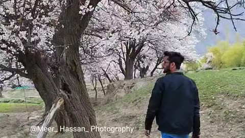 Blossom View Switzerland of Pakistan