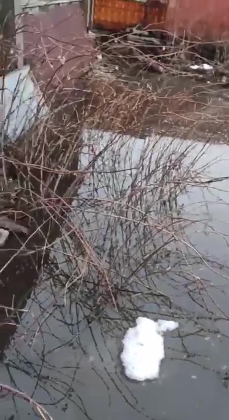 Sewage Floating to the Top From Several Open Sewers(Voronezh)