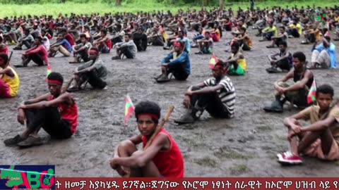 ONM-ABO - መስከረም 17/2023 ዓም ሳምንታዊ የኦሮሞ ነፃነት ሠራዊት ዉሎ ።