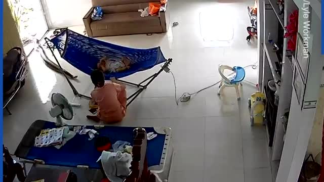 A hanger snake comes after cat..... going crazy!!!!