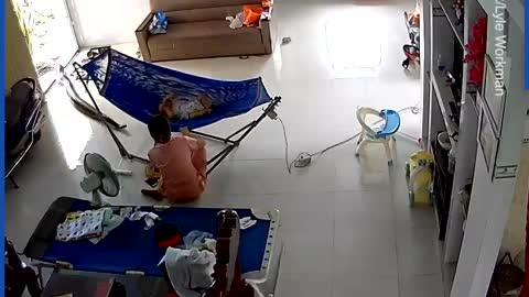 A hanger snake comes after cat..... going crazy!!!!