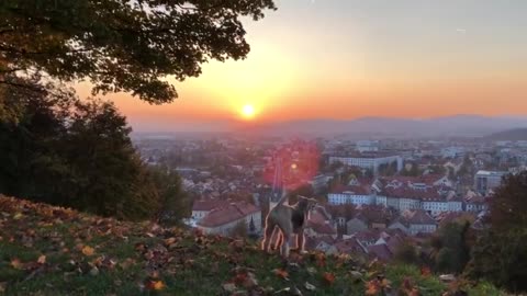 Haha, are you watching the sunset with me, the capital of Slovenia, Ljubljana