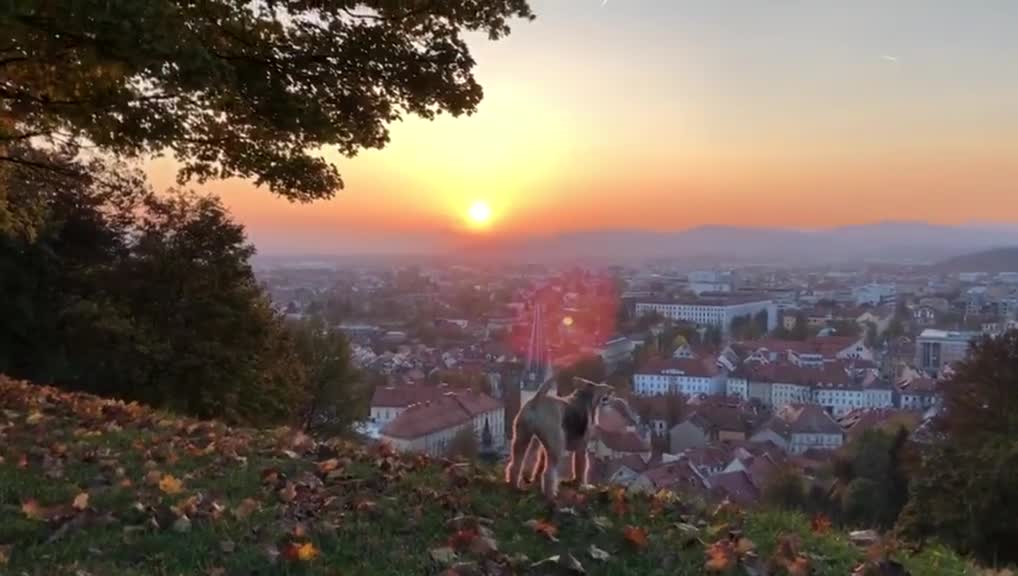 Haha, are you watching the sunset with me, the capital of Slovenia, Ljubljana