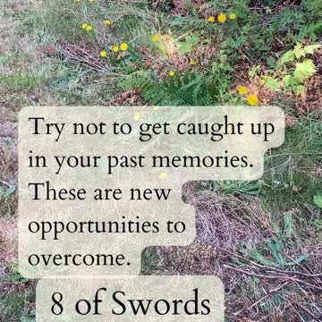 Chariot to 8 of Swords 2022-11-05