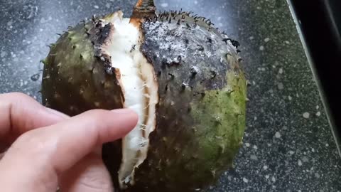Fresh Guyabano: A Fruit can fight virus