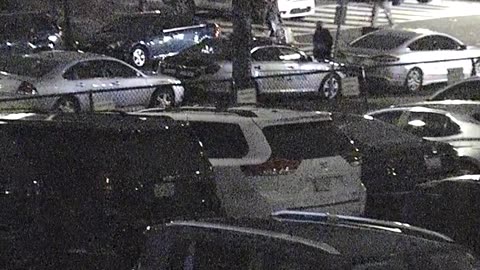 1906LOTS00Lot161st-DNE_2021-01-06_17h27min45s737ms.mp4