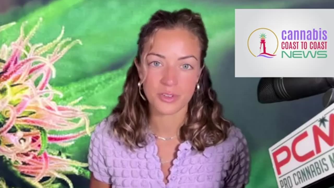 Mass Weed Boss Fired, Finally! Texas House Candidate Fires Up Her Support for Legalization in Texas