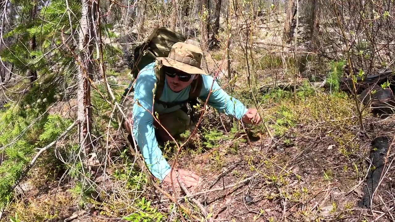 SOLO Mountain Crawfish & Trout Fishing!!! (Catch & Cook)