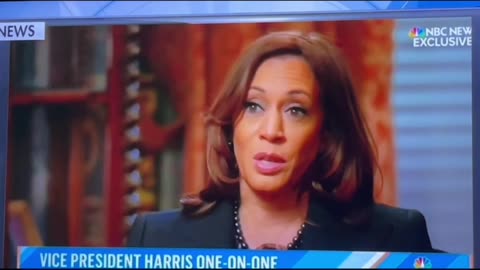 Kamala Harris Dumb like a Rock