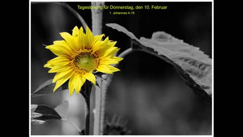 Tageslosung für Donnerstag, den 10. Februar