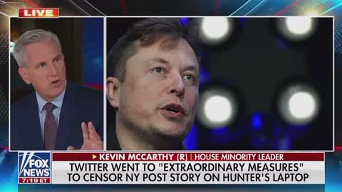 Kevin McCarthy response to Elon Musk dropping internal put her documents