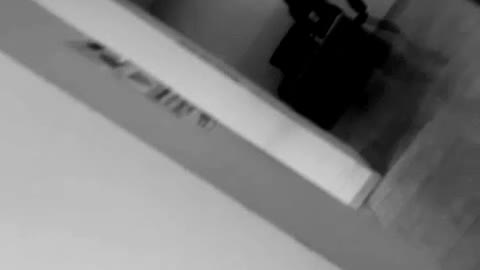 l'italia è una repubblica fondata sulle mascherine - FOSSA 0033