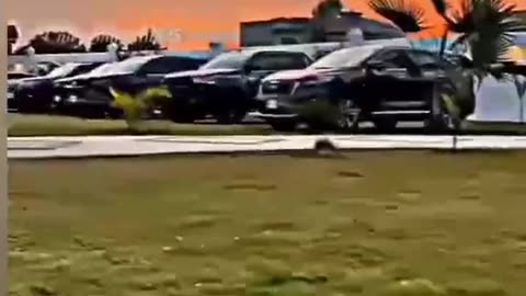 Cars video