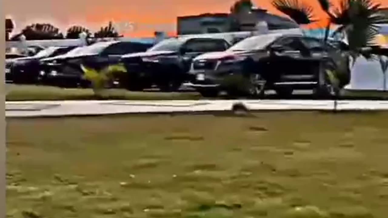 Cars video