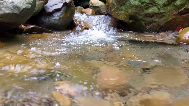 Beautiful Mountain River Flowing Sound. Forest River, Relaxing Nature Sounds/ Sleep/ Relax