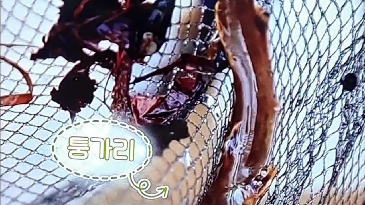 eolilttae chueogsog-eulo In my childhood memories