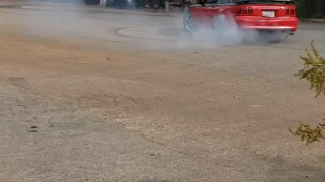 Bouncing Mustangs Rev Limiter