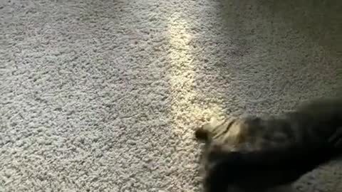 🥴🤸‍♀️