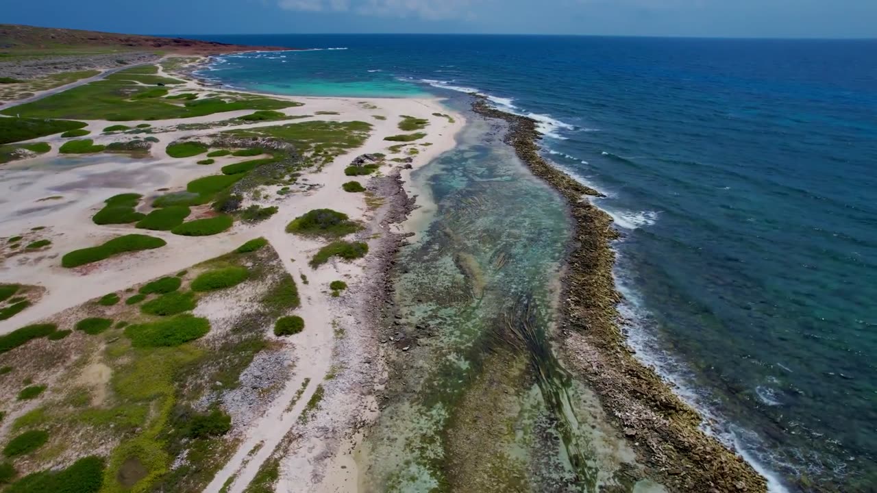 The ocean shore from a bird's-eye perspective is simply mesmerizing 🌊✨