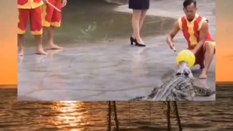 Almost died 🤣