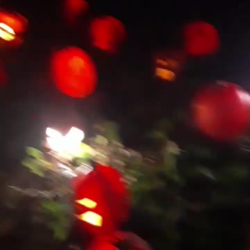 Pumpkins On Pumpkins On Pumpkins. Year 2, Part 20.