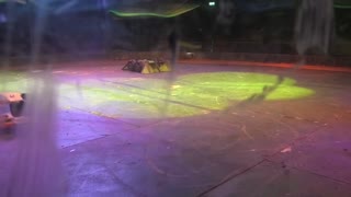 RoboRiots BT Young Scientist Dublin 2020: Nibbler Vs Galactus