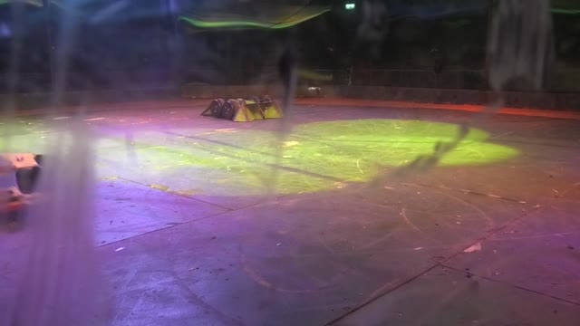 RoboRiots BT Young Scientist Dublin 2020: Nibbler Vs Galactus