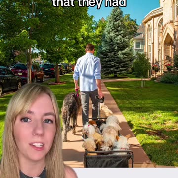 Steve Greig adopts senior dogs so that they can live their best lives.