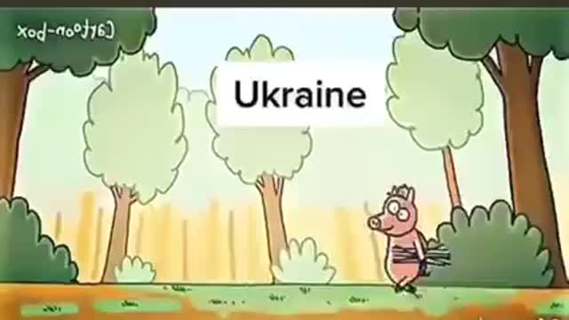 Ukraine war point of view