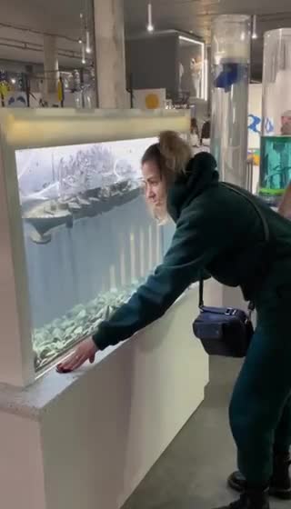 A simulator of the cruiser Moskva was installed in Lviv