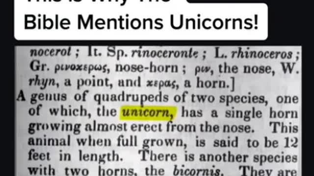 The Unicorn is actually the Rino - Indian rhinoceros