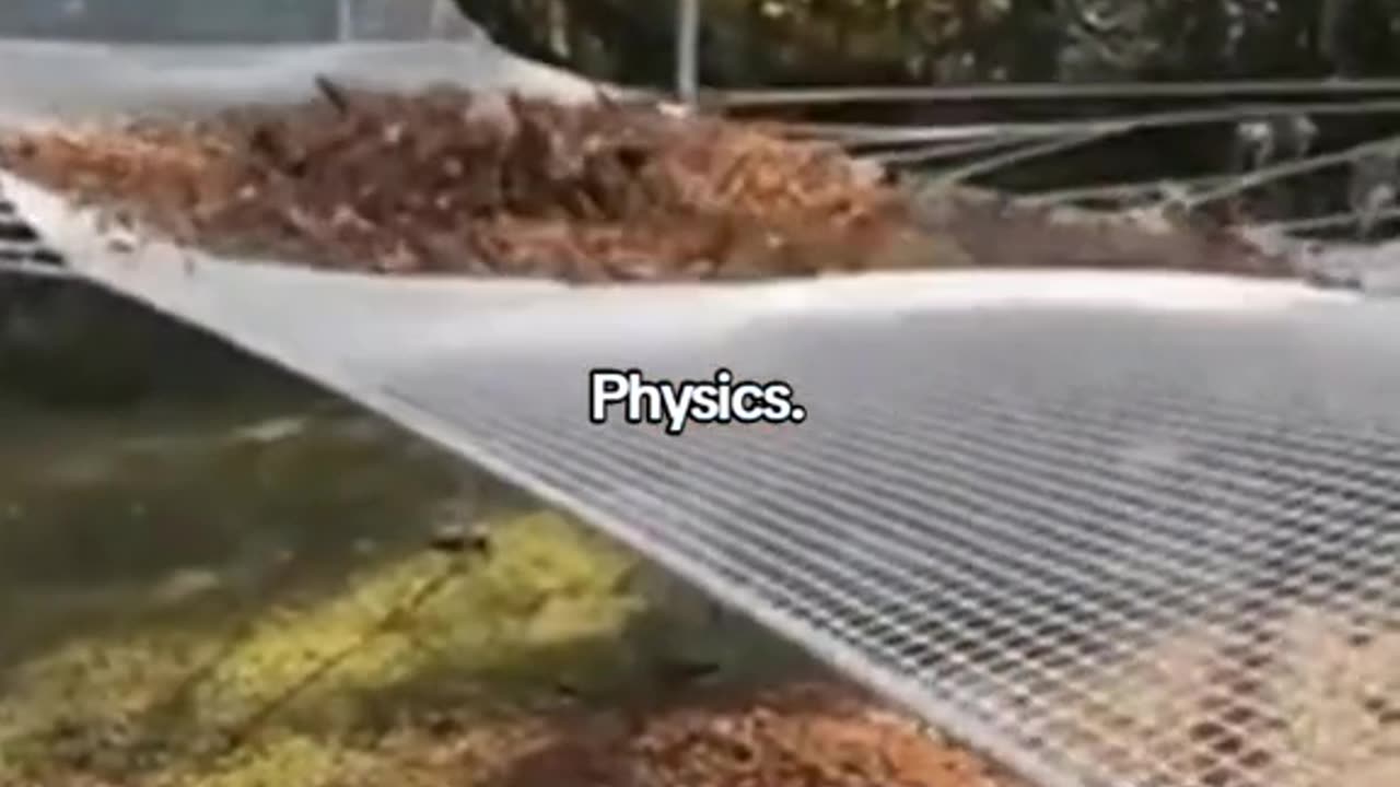 #physics #slideshow #amazing #fyp #newvideo #subscribe #trendingvideos #onfire #viralhits