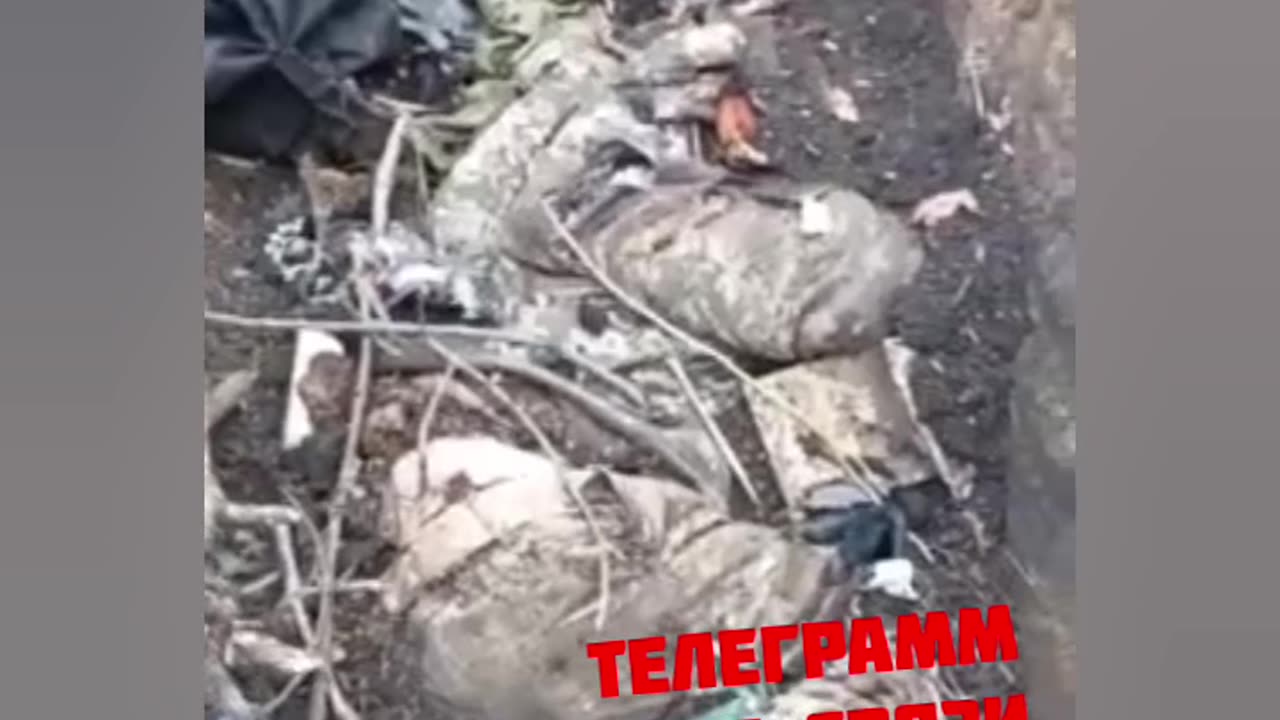 +18 Viewer Discretion advised Wagner push on Ukrainians armed forces in Bakhmut
