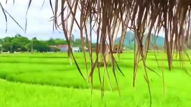 Ijo - ijo bikin seger ☘️ udah pada kesini belom Klean guys Tah temen mu ya !