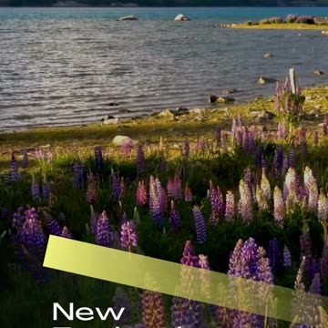 Best 5 Places To Visit In The World.