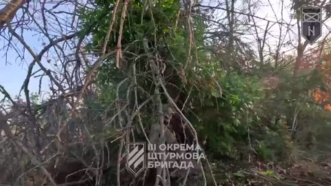 💪🇺🇦 Assault under machine gun fire from the soldier of 2nd company 2nd MB of