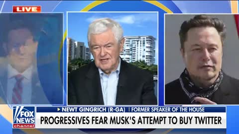 Elon Musk represents a 'danger' to the left: Gingrich