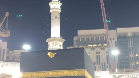 Allahu Akbar Guess who is doing tawaf 🕋 || Birds 🐦 are doing tawaf of Baitullah 🕋