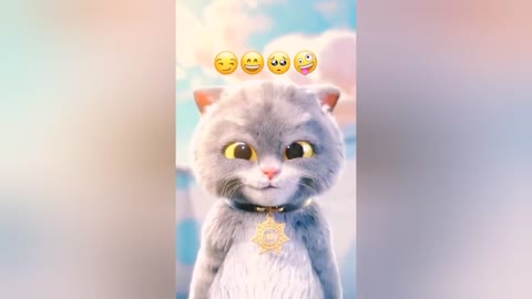 Funny Cat Shorts videos