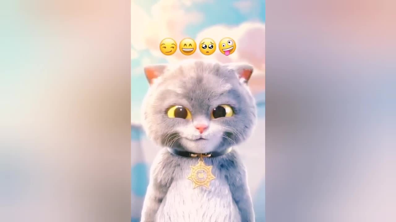 Funny Cat Shorts videos