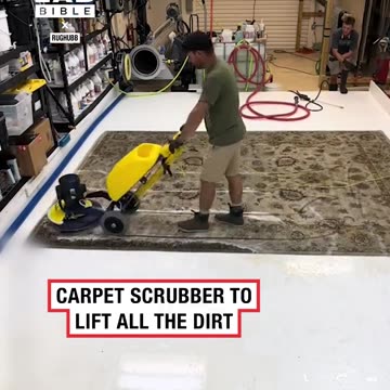 Restoring contaminated rug 😱