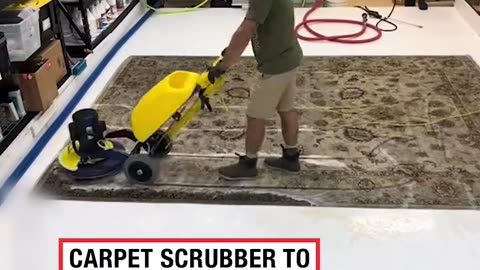 Restoring contaminated rug 😱