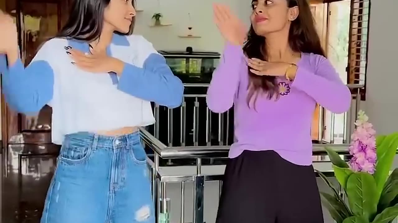 Dancing Jodi Nikhil Nisha Vlogs