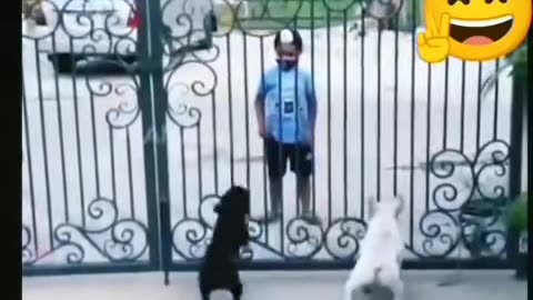 Full video fanny