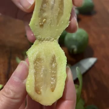 Feijoa Fruit