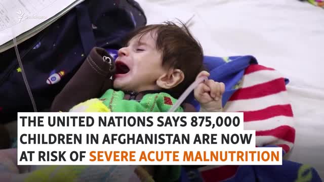 Afghan Hospital Sees Malnutrition Spike As UN Warns 875,000 Children At Risk