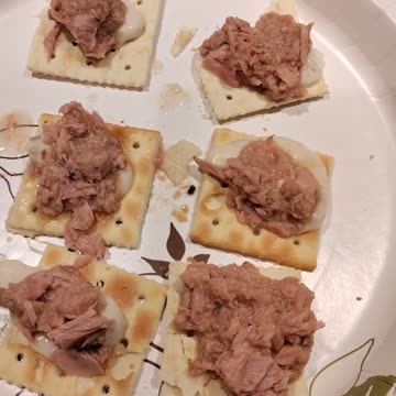 Eating Starkist Chunk Light Tuna, Dbn, MI, 9/12/23